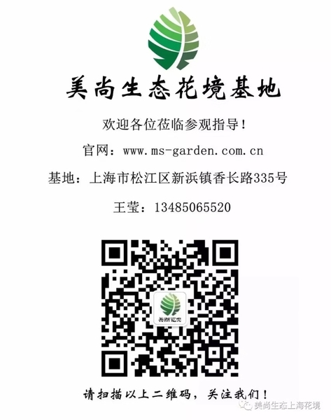 微信图片_20190806152945.jpg