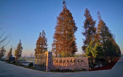06.jpg